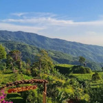 Bán sỉ lô đất "thiên đường săn mây" 1.5 ha (15.000m2) view cực đỉnh-giá chỉ 14 tỷ, sang sổ nhanh