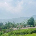 đất nghỉ dưỡng 1351m view siêu đẹp giá vài triệu bám đường to tại yên bình - tổng 1351m view đẹp n