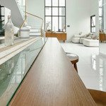 Bán căn duplex 3pn, 3wc, 100m2 tại the pegasuite 2, 5,7 tỷ, q8, hcm, chính chủ đẹp, nhiều tiện ích