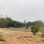 Chính chủ bán 850m2 thực tế 1100m2 đất thạch quảng, thạch thành, thanh hoá. giá hơn 500tr
