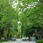 Bán liền kề giá tốt nhất ecopark