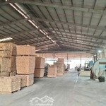 Cho thuê kho, nhà xưởng 14.000 m2, 450 triệu bắc tân uyên, bình dương. điện 3 pha, pccc, đường cont
