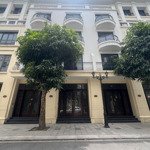 Bán liền kề 56 m2, giá 8,2 tỷ khu san hô, vinhomes ocean park 2,