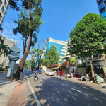 Bán building mt mạc đỉnh chi p. dakao quận 1, 11 x19m, hầm 7 tầng, 260 tỷ giảm về 230 tỷ