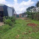 đất đẹp giá tốt đường lưu thị dung phường 2, gò công, tiền giang, giá ngộp 439 tr, 110m2