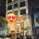 Bán nhà nguyễn du, 180m x 9 tầng, dòng tiền tốt, 200 tỷ