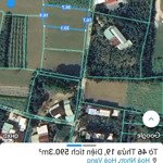 Siêu phẩm, 550m2 đất trồng cây hằng năm sát nhà dân ở đông đúc, quy hoạch đất ở, gần sông túy loan.