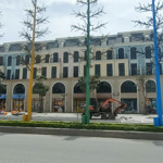 Bán biệt thự tại the empire - vinhomes ocean park 2, 11 tỷ vnd, 60m2, uy tín, giá ưu đãi