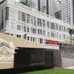 Cho thuê cc đẹp như mơ 1pn, 50m2 tại lexington residence, giá rẻ bất ngờ 12,5 triệu vnd