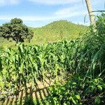 Dt thực tế 1200m có 200m tc bám mặt đường betong 16m đất tại tiến xuân thạch thất hn giá nhỉnh 6
