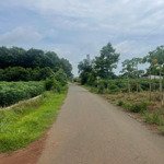 19m mặt tiền nhựa đất tại xã nghĩa thành, brvt giá 1,4 tỷ, 409m2, có 50m2 thổ cư