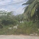Bán lô đất full thổ cư mặt tiền đường gò đại, diên sơn, diên khánh - đường bê tông 8m