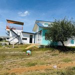 Bán 1,8 ha đất xã phúc thọ - huyện lâm hà view hồ rất đẹp