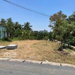 Hot! bán đất 125m2 tại đinh đức thiện, bình chánh, hcm giá cực hời 445 triệu. shr, sang tên ngay