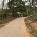 Bán đất 3000m2, 400tc, 1.5 tỷ tại xã đồng lạc, yên thế, bắc giang - đẹp, nhiều tiện ích