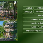 Bốn mùa tại eco retreat, khu rừng retreat đầu tiên tại việt nam mở bán tháng 4.2025