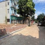 Chính chủ bán lô đất tại đông cao_tráng việt_mê linh.
