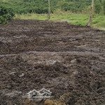 Bán đất mặt tiền hồ, gần đường lớn & cao tốc tại bảo lâm, lâm đồng - chính chủ