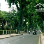 Bán biệt thự vườn đào, tây hồ 236m mặt tiền 15m, view vườn hoa 129 tỷ