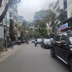 Mp tuệ tĩnh - hbt. 91m2x9 tầng. thang máy. mt5m kinh doanh. giá 90 tỷ