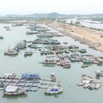 Bán đất đấu giá tại kđt thống nhất mặt biển phường tân an, thị xã quảng yên, tỉnh quảng ninh.