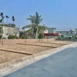 Bán đất ngay sau chợ bứa tại thái sơn an lão hải phòng giá chỉ hơn 400tr/lô