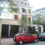 Bán biệt thự roman plaza,tố hữu, dt 190m * 4 tầng mt 11m view vườn hoa kinh doanh đỉnh nhỉnh 46 tỷ