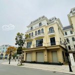 Cắt lỗ- bán gấp biệt thự song lập căn góc 2 mặt tiền the empire - ocean park 2, 31,5 tỷ, 172 m2,