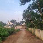 Chỉ hơn 1 tỷ có ngay lô đất đẹp rẻ tại đồng vàng phú mãn quốc oai hà nội giá rẻ bèo