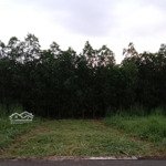 Cần bán gấp lô đất 100m2 thổ cư vuông vức tại ấp 4 xã an viễn,trảng bom đồng nai có sổ hồng riêng
