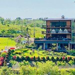 Cần bán nhanh lô đất tại bảo lộc, ngay cạnh dãy homestay đang kd 125m2, giá chỉ 799 triệu