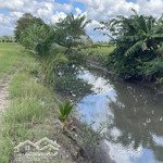 Bán gấp đất nền 5.209m2 tại vĩnh chánh, thoại sơn, an giang, giá 199 triệu