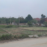Bán đất liền kề đường oto tải đỗ ngày đêm, view vườn hoa mặt tiền 5 mét tại lệ chi gia lâm