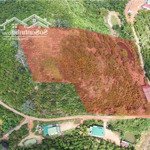Lô đất vườn cà phê sầu riêng, có suối và ao hồ nước quanh năm sổ riêng