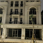 Cho thuê cặp đôi louis đại mỗ diện tích 240m² giá 100 triệu/tháng hợp đồng lâu dài