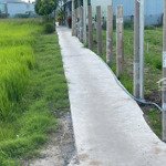 Bán 1000m2 vườn cây ăn trái, ao cá , đường bê tông 2m