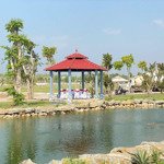 Bán đất đối diện kcn tân bình ,sổ hồng riêng,dân cư đông đúc.