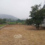 Rẻ lại còn đẹp nhỉnh 2 tỷ 462m2 làm vườn rau nhỏ xinh chăn vài con gà và cái nhà nhỏ chill chill