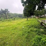 Bán đất đẹp tại đường 87a, yên bài, ba vì, hà nội, 4,3 tỷ, 800m2
