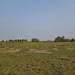 Bán đất ruộng muối cần giờ giá 1,1tr/m2 20ha ngay cửa ngõ cảng, tiềm năng sinh lời cực cao