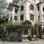 Cập nhật các căn biệt thự khu vườn đào - tây hồ-hà nội: 220m-230m-252m-270m-300m-325m
