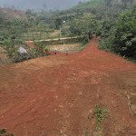Bán đất đẹp tại thanh sơn, phú thọ, giá chỉ 68k/m2, diện tích 20000m2 sẵn thổ cư, bám đường .