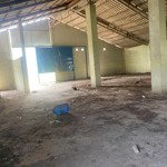 Mtđ đt 19 (đt 830 cũ) full thổ cư 1975m2 - ngang 50m phù hợp kho xưởng