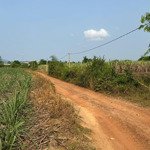 Bán đất vườn 3 mặt đường ô tô tại xã ninh thân, ninh hòa phù hợp cho trang trại, farm, đầu tư sin