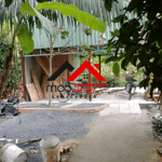 Cho thuê đất vườn sân vườn tân an – thủ dầu một, bình dương làm sân vườn kinh doanh, nghỉ dưỡng cuối tuần, trồng rau, nuôi gà, homestay mini.liên hệ: chothuexuongmiennam.com - 0366632092