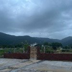 Cho thuê lô đất mặt biển 1000m2