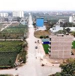 Bán gấp bt tại cienco 5 mê linh, 61 triệu / m2, 100m2