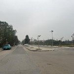 Bán đất nền 67.5m2, 126 triệu/m2 đấu giá cây sung đan phượng, hà nội