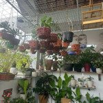 Cần bán nhà3 tầng mt trần nhân tông, sát khúc hạo. sơn trà đn rẻ đẹp