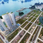 Crystal holidays harbour căn hộ biển vân đồn đáng đầu tư nhất năm 2025
